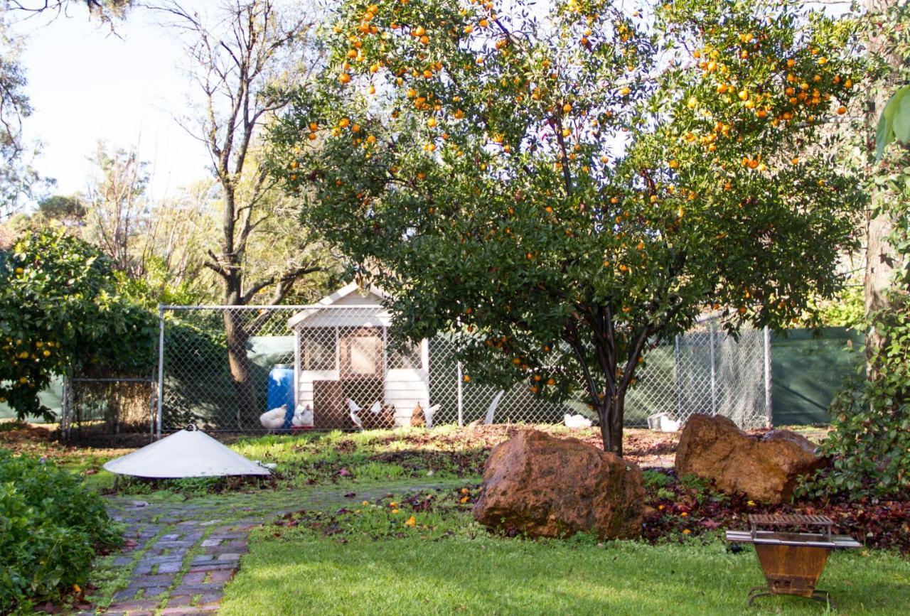 Farview Guest Accommodation Pickering Brook Zewnętrze zdjęcie